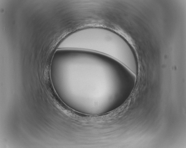 X0000071930009200607070957