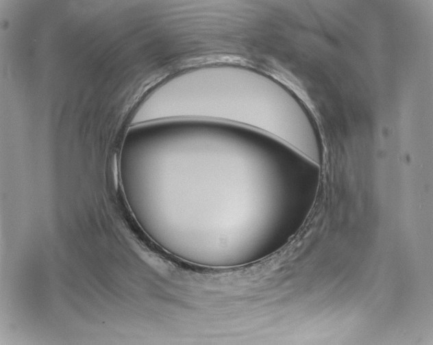 X0000071930013200607070957