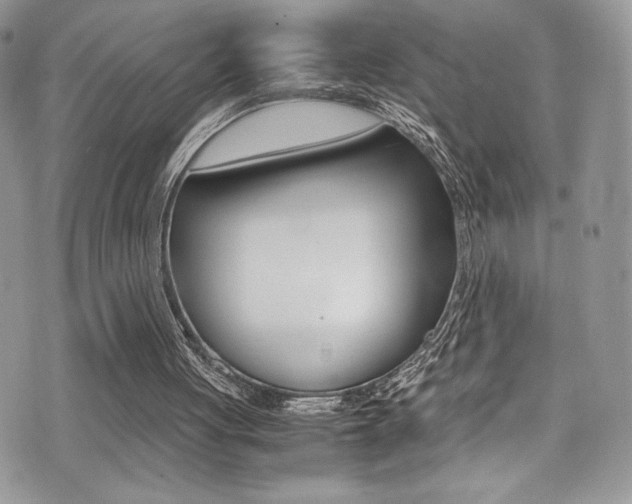 X0000071930051200607070955