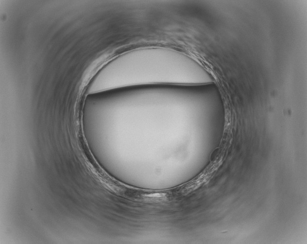 X0000071930053200607070955