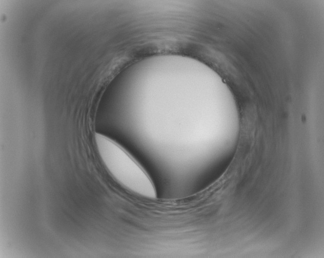 X0000071930123200607070955