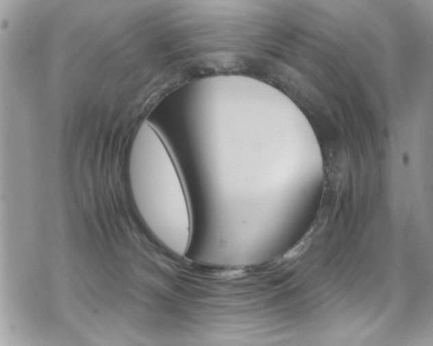 X0000071930132200607070955