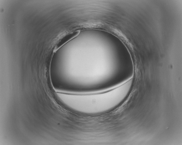 X0000071930201200607070953