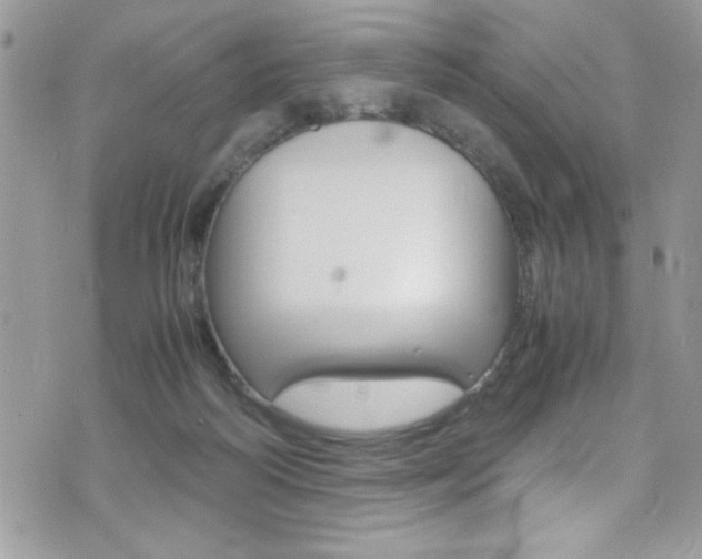 X0000071930218200607070953