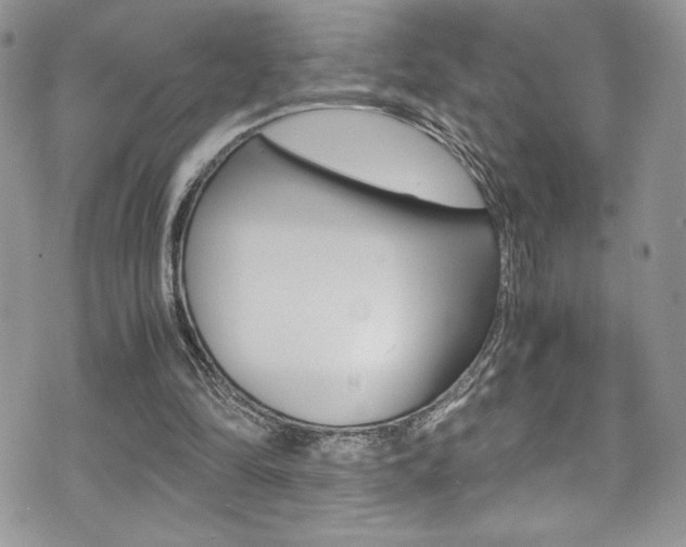 X0000071930294200607070952