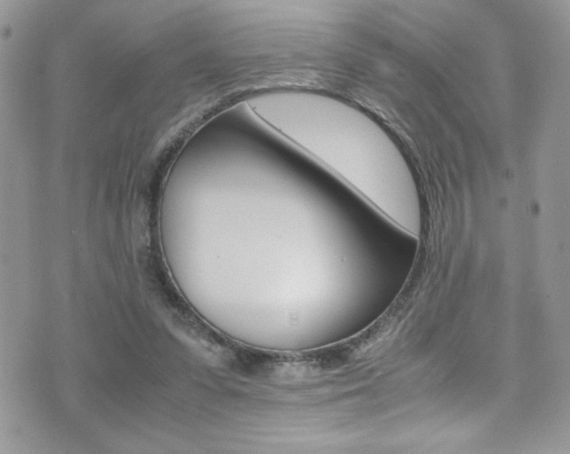 X0000071930303200607070952