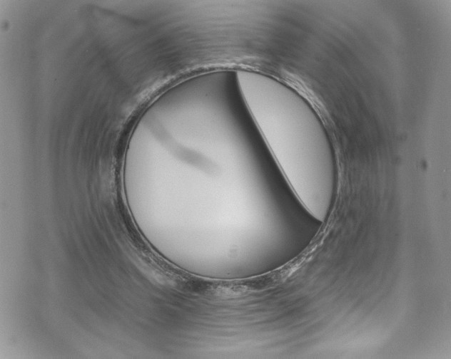 X0000071930346200607070951