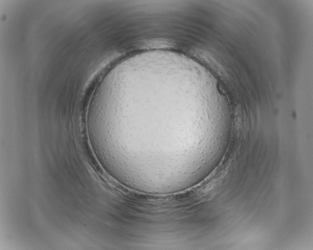 X0000071930351200607070951