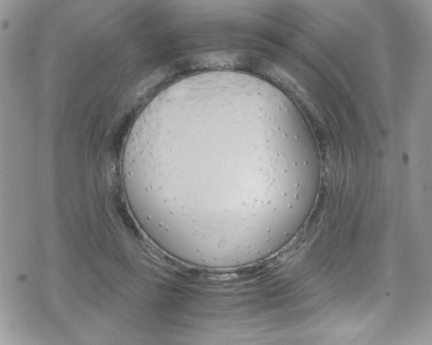 X0000071930355200607070951