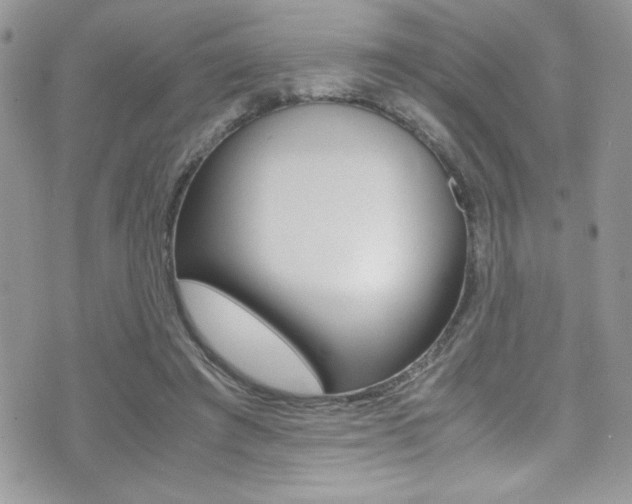 X0000071930401200607070950