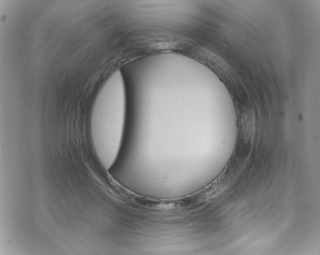 X0000071930406200607070950
