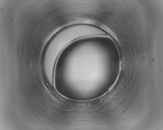 X0000071930436200607070949