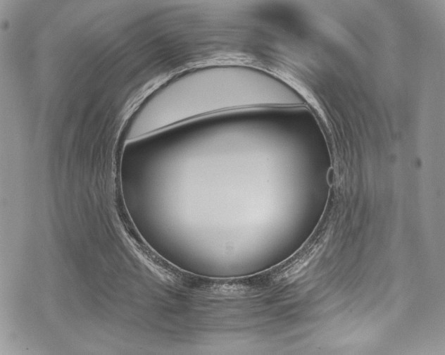 X0000071930437200607070949