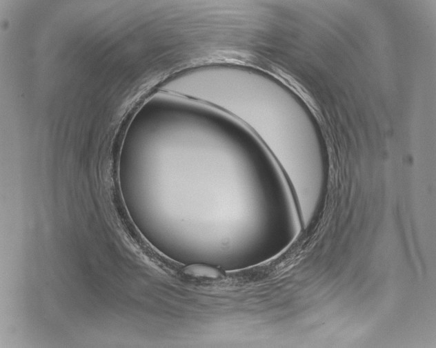 X0000071930485200607070949