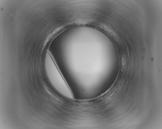 X0000071930492200607070949