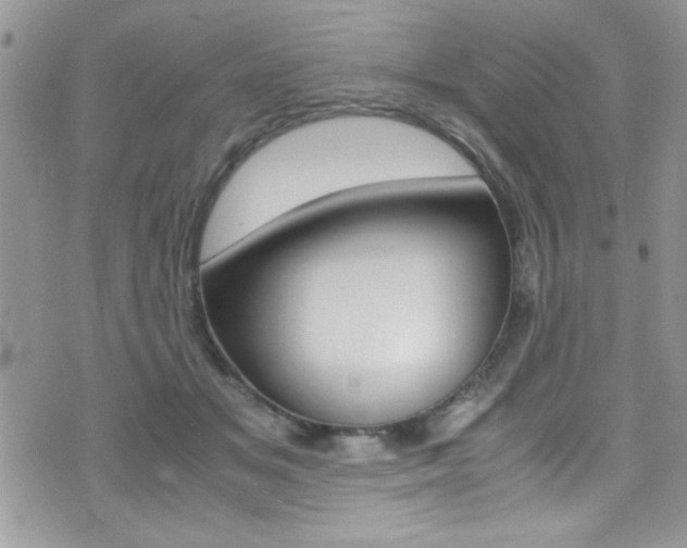 X0000071930509200607070948