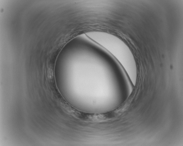 X0000071930517200607070948