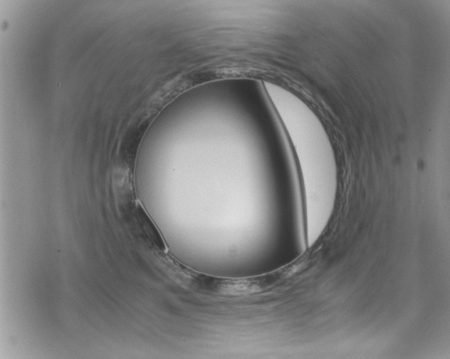 X0000071930521200607070948