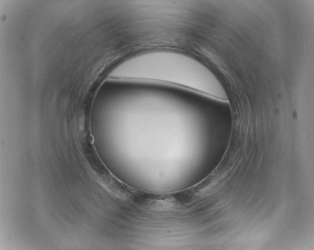 X0000071930548200607070948