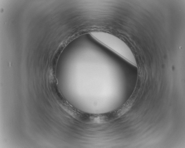 X0000071930564200607070948