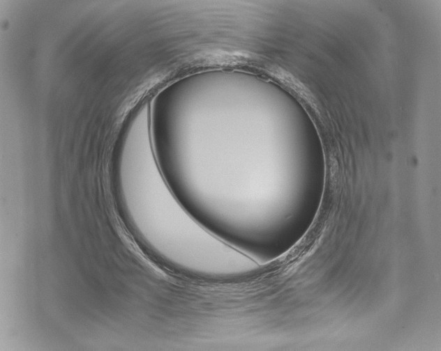 X0000071930581200607070947