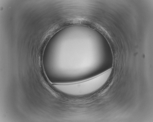 X0000071930589200607070947