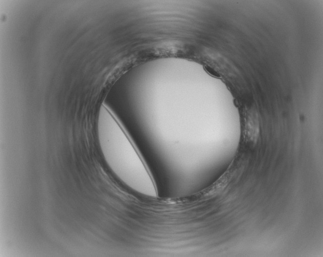 X0000071930616200607070947