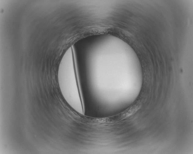 X0000071930624200607070947