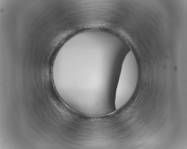 X0000071930636200607070946