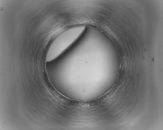 X0000071930640200607070946