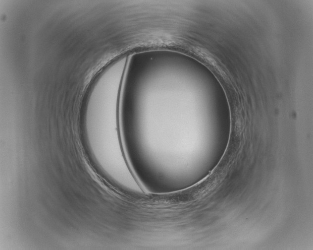X0000071930677200607070946