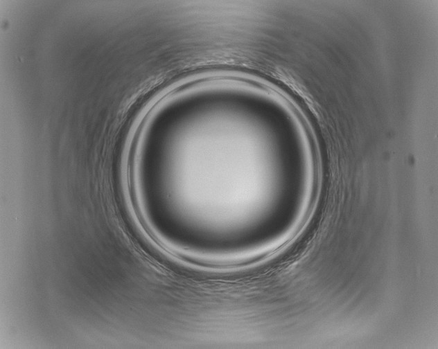 X0000071930681200607070946