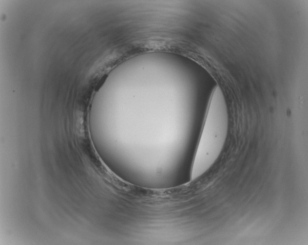 X0000071930696200607070945