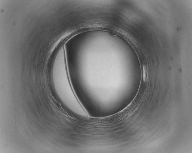 X0000071930723200607070944