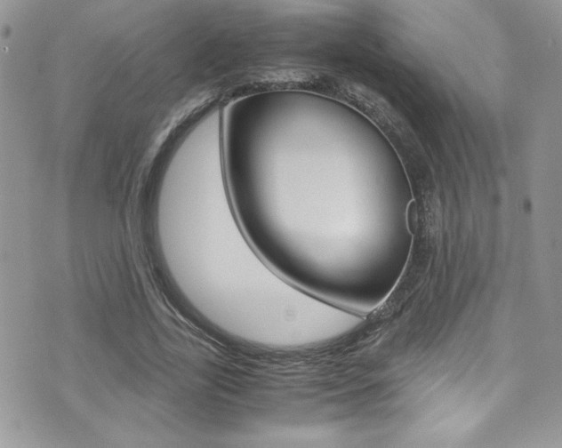 X0000071930731200607070944