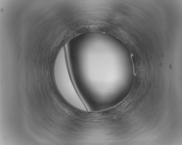 X0000071930750200607070945