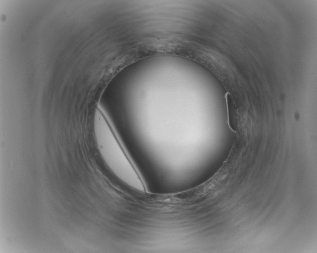 X0000071930752200607070945