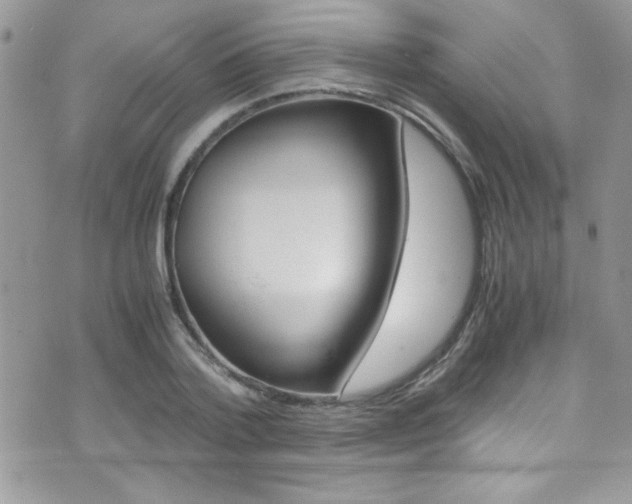 X0000071930788200607070944