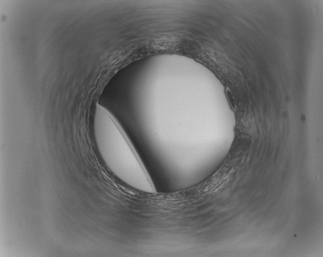 X0000071930817200607070943