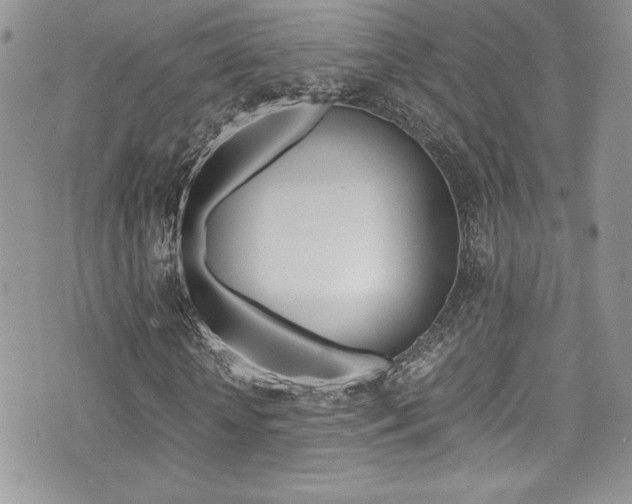 X0000071930818200607070943
