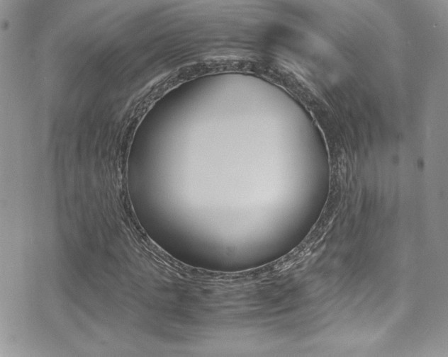X0000071930821200607070943