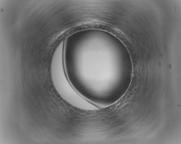 X0000071930822200607070943
