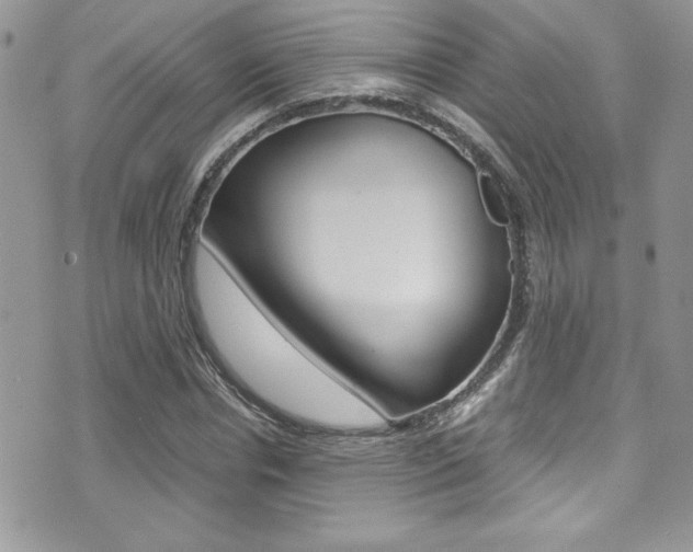 X0000071930826200607070943