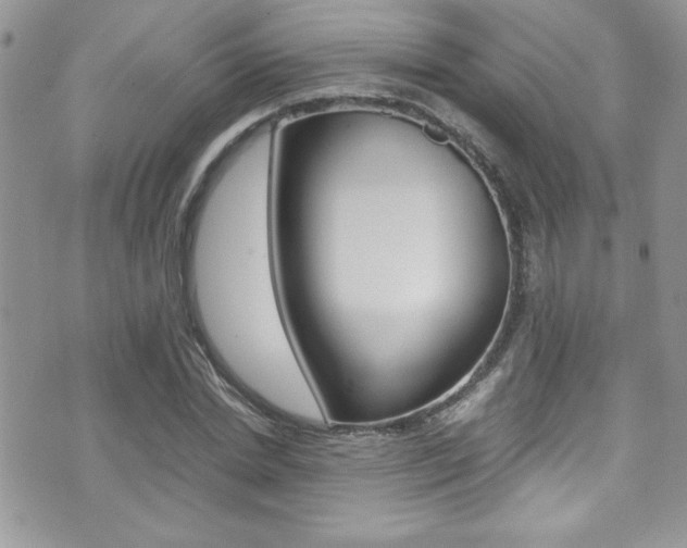 X0000071930830200607070943