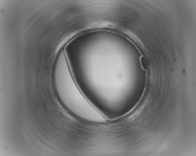 X0000071930834200607070943