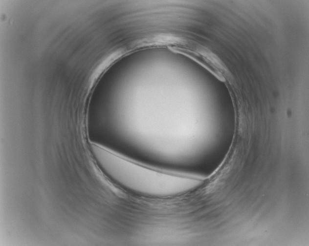 X0000071930850200607070943