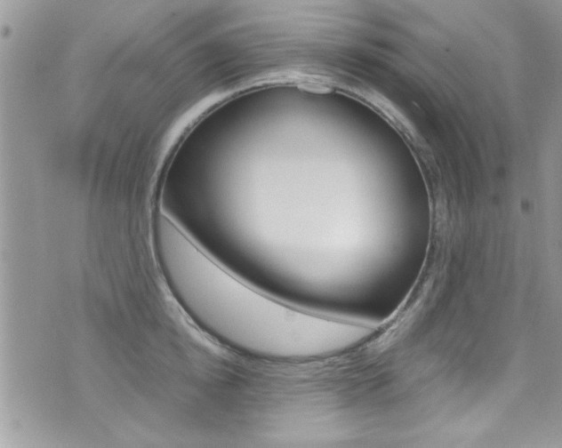 X0000071930854200607070943