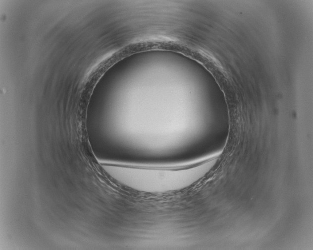 X0000071930872200607070942