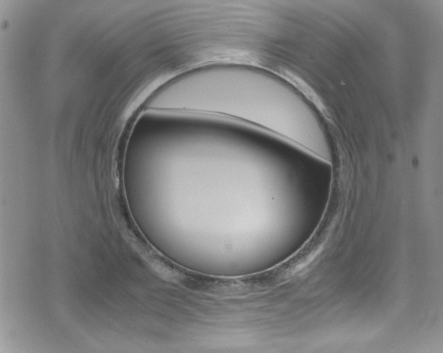 X0000071930885200607070942