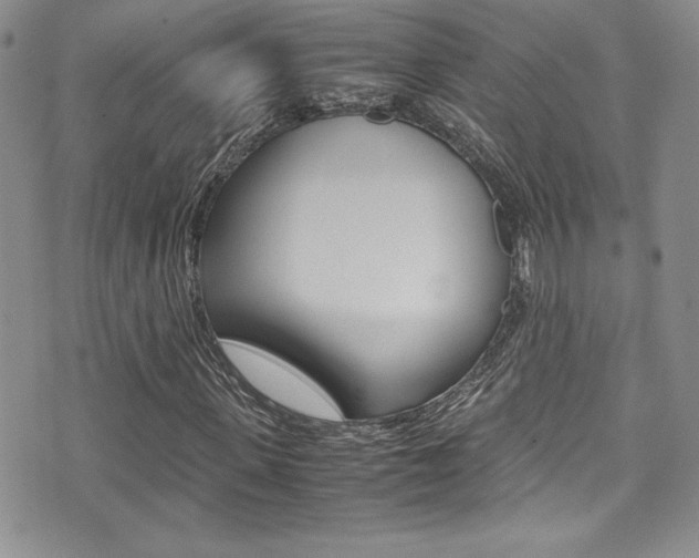 X0000071930915200607070941
